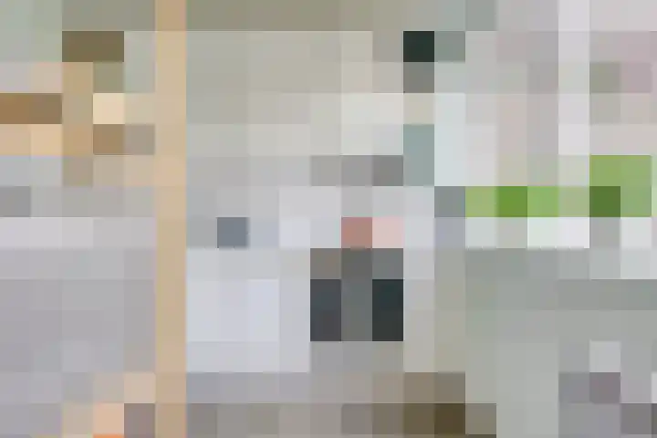 Camphuysenstraat 24 Vleuten thumbnail 4