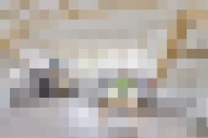 Camphuysenstraat 24 Vleuten thumbnail 57