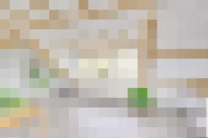 Camphuysenstraat 24 Vleuten thumbnail 6