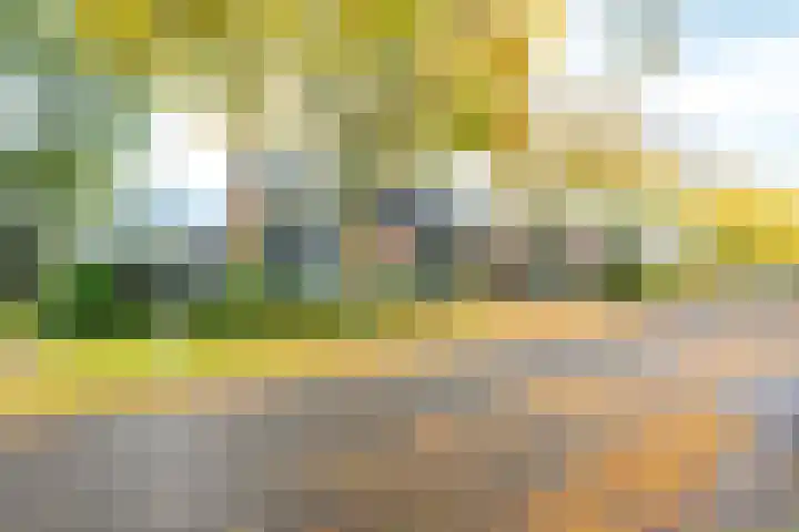 Camphuysenstraat 24 Vleuten thumbnail 7