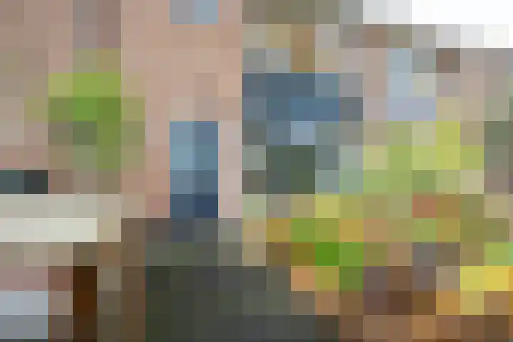 Camphuysenstraat 24 Vleuten thumbnail 9