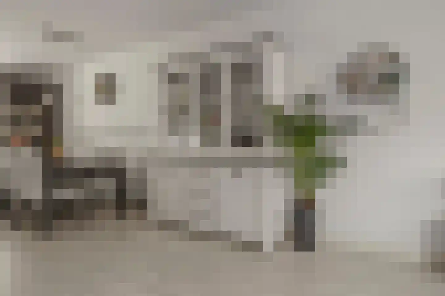 Camphuysenstraat 34 Vleuten thumbnail 13