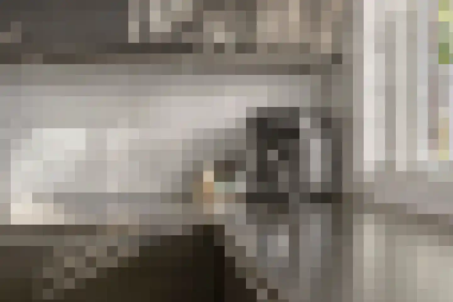 Camphuysenstraat 34 Vleuten thumbnail 17