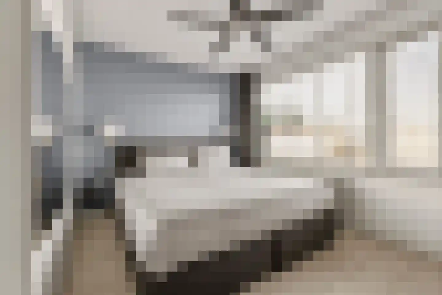 Camphuysenstraat 34 Vleuten thumbnail 21