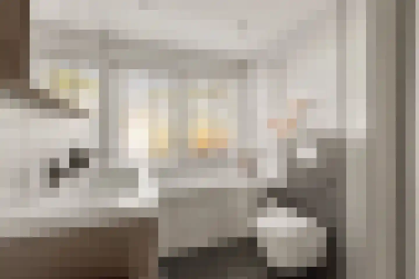 Camphuysenstraat 34 Vleuten thumbnail 28