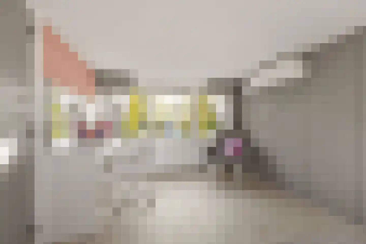 Camphuysenstraat 34 Vleuten thumbnail 31
