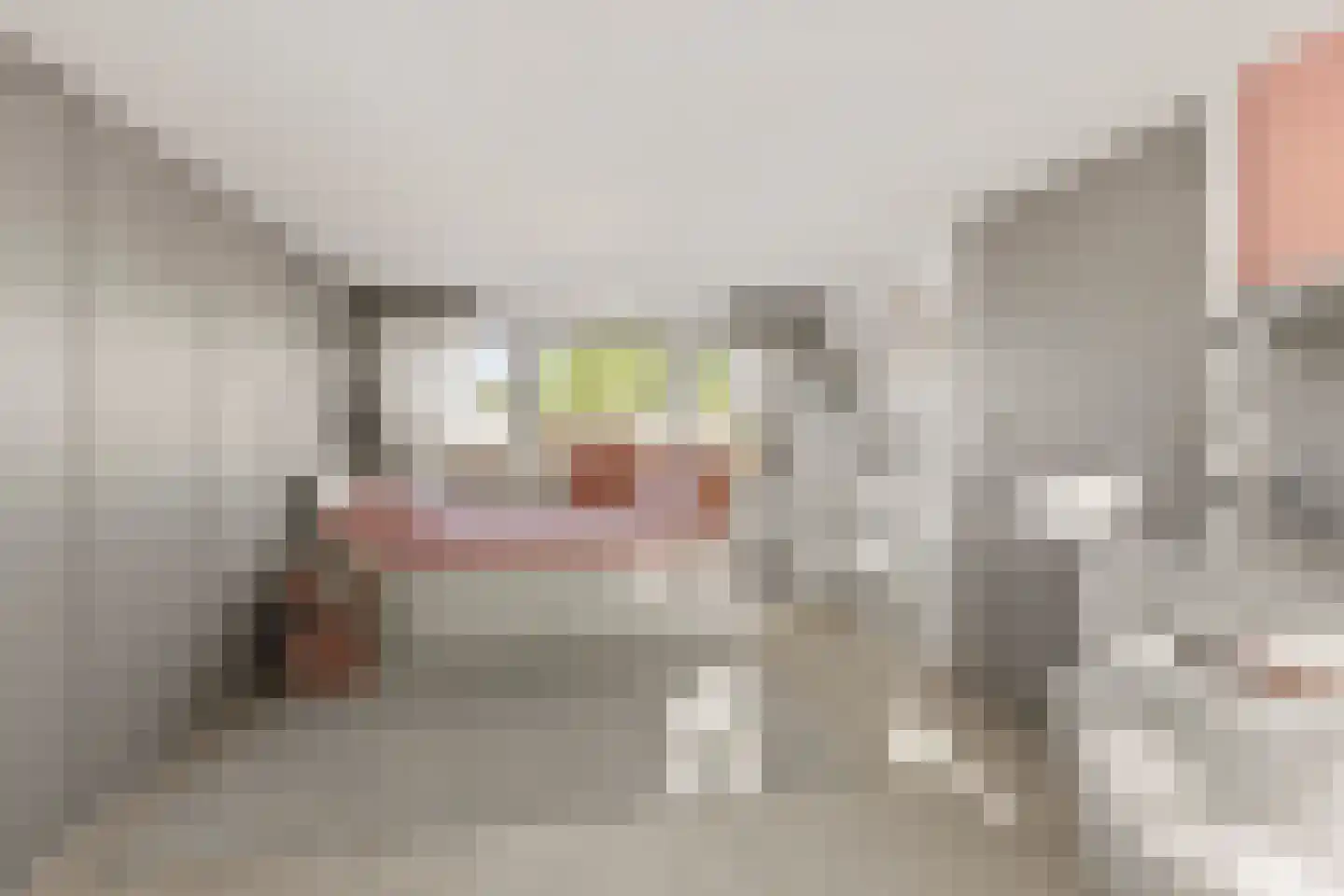 Camphuysenstraat 34 Vleuten thumbnail 32