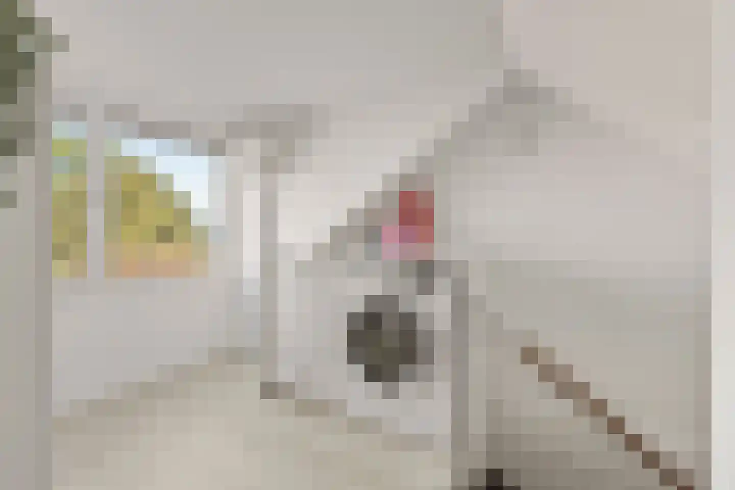 Camphuysenstraat 34 Vleuten thumbnail 34