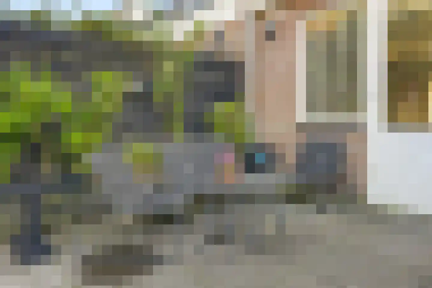 Camphuysenstraat 34 Vleuten thumbnail 36