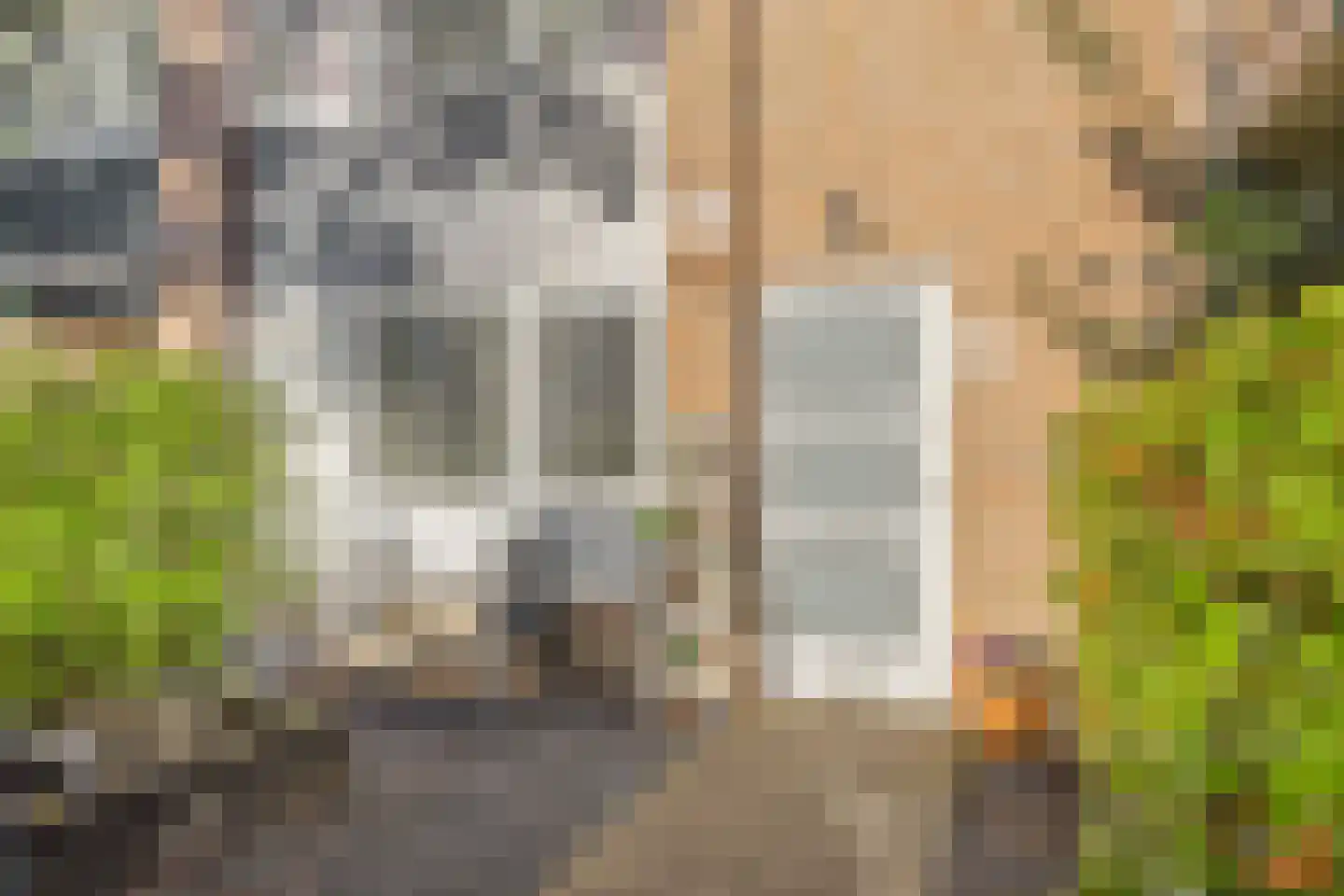 Camphuysenstraat 34 Vleuten thumbnail 38