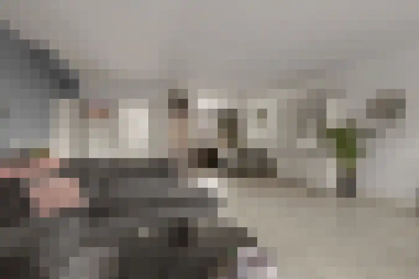 Camphuysenstraat 34 Vleuten thumbnail 4