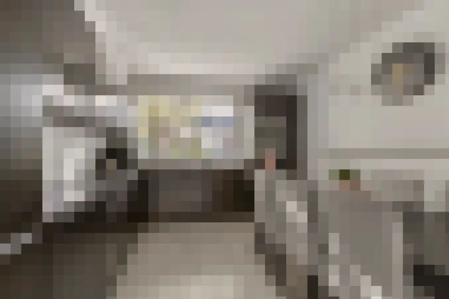 Camphuysenstraat 34 Vleuten thumbnail 5