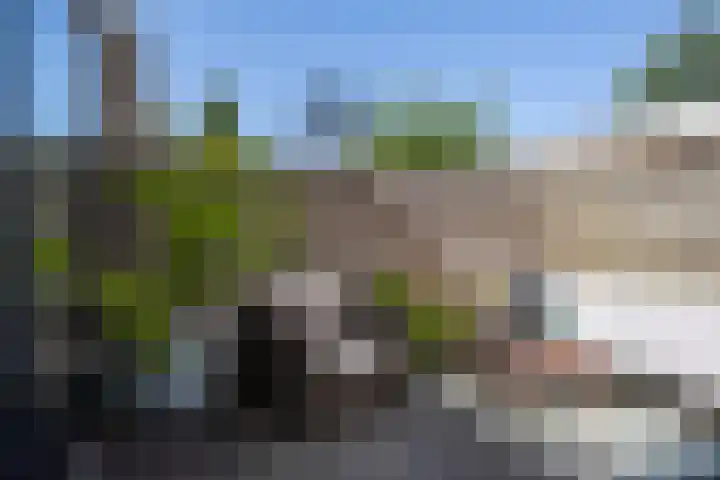 Camphuysenstraat 37 Vleuten thumbnail 10