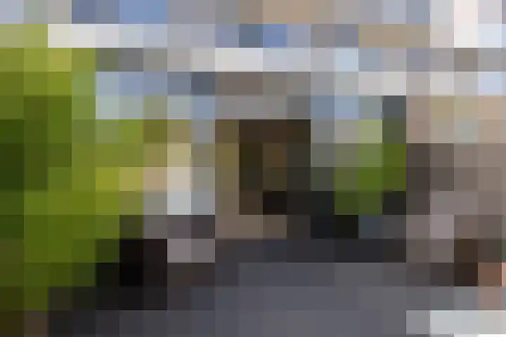 Camphuysenstraat 37 Vleuten thumbnail 13