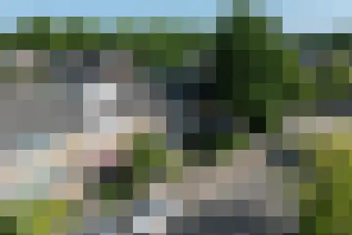 Camphuysenstraat 37 Vleuten thumbnail 32