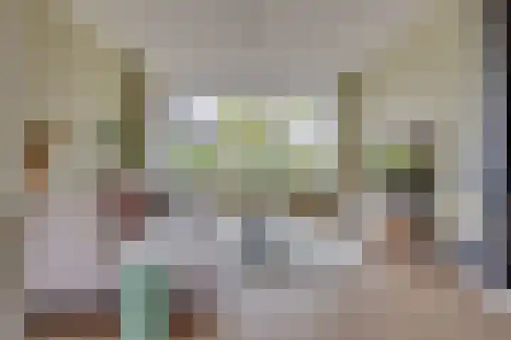 Camphuysenstraat 37 Vleuten thumbnail 5