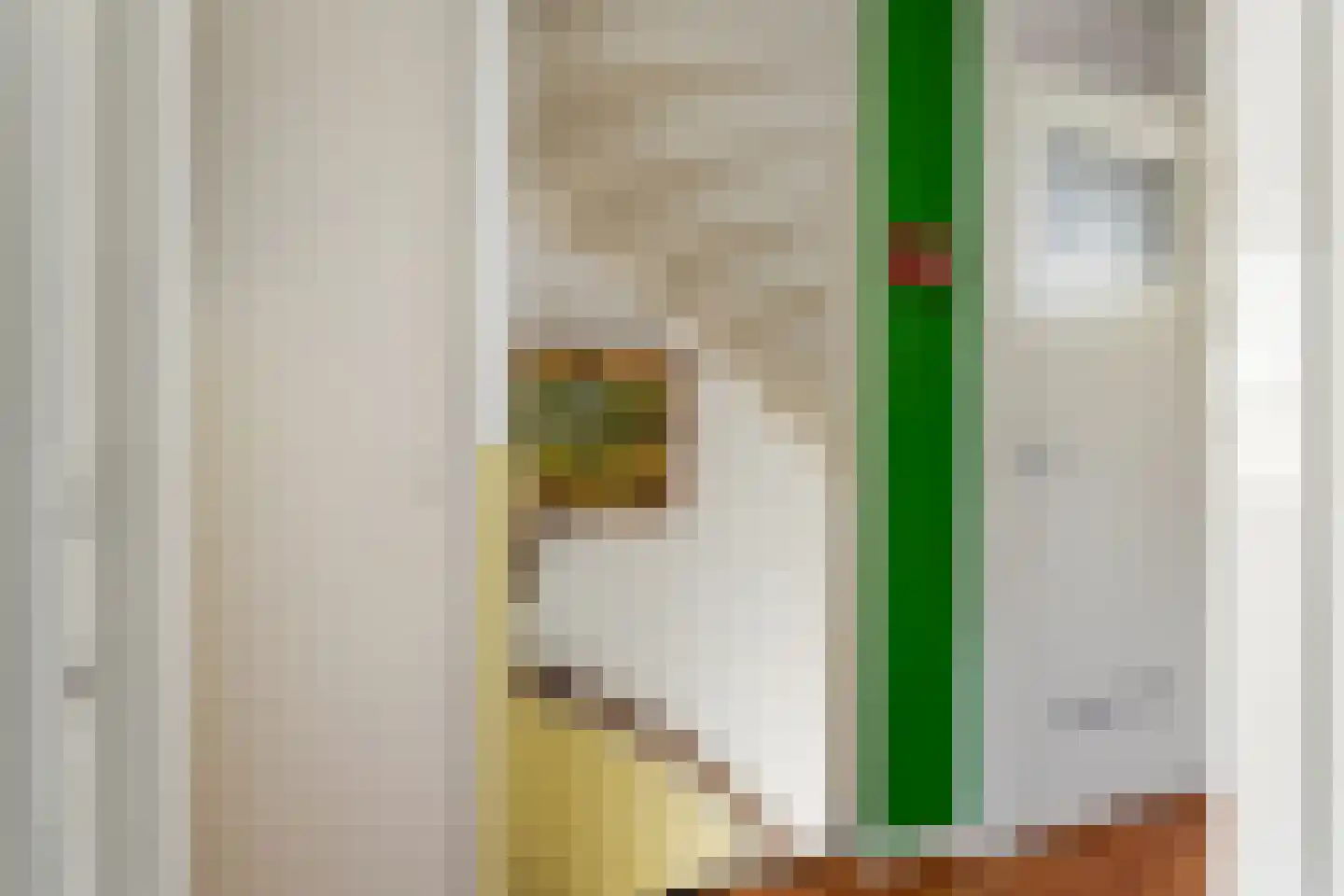 Camphuysenstraat 42 Vleuten thumbnail 15