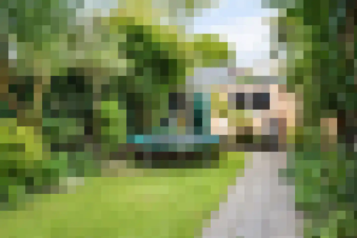 Camphuysenstraat 42 Vleuten thumbnail 29