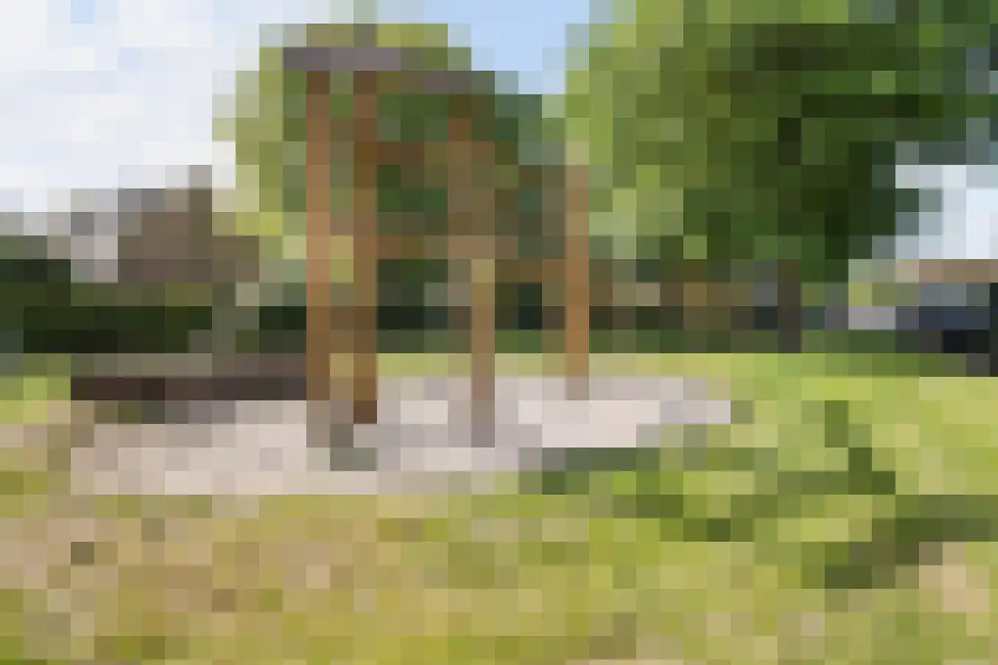 Camphuysenstraat 42 Vleuten thumbnail 33