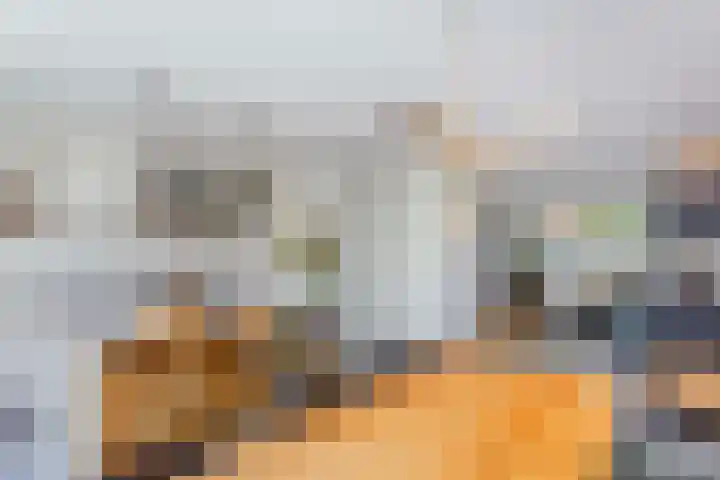 Campinasdreef 10 Utrecht thumbnail 10