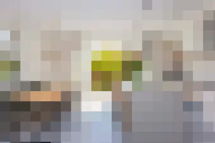 Campinasdreef 10 Utrecht thumbnail 12