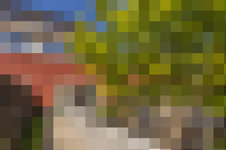 Campinasdreef 10 Utrecht thumbnail 16