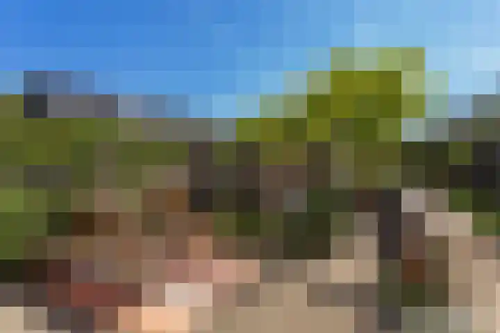 Campinasdreef 10 Utrecht thumbnail 17
