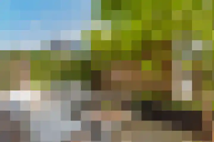 Campinasdreef 10 Utrecht thumbnail 20