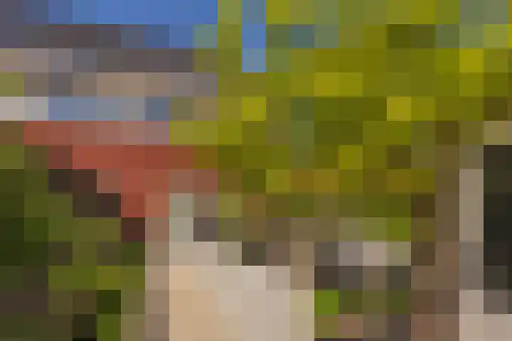 Campinasdreef 10 Utrecht thumbnail 23