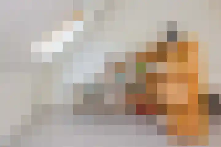 Campinasdreef 10 Utrecht thumbnail 39