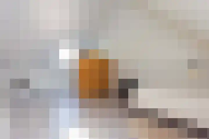 Campinasdreef 10 Utrecht thumbnail 41