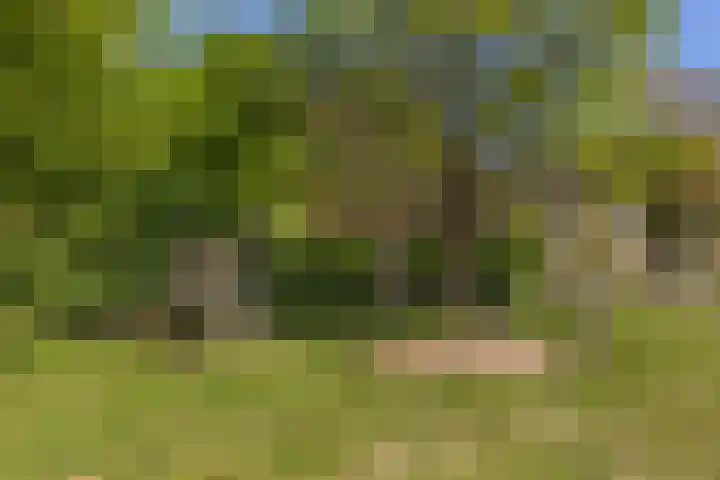 Campinasdreef 10 Utrecht thumbnail 48
