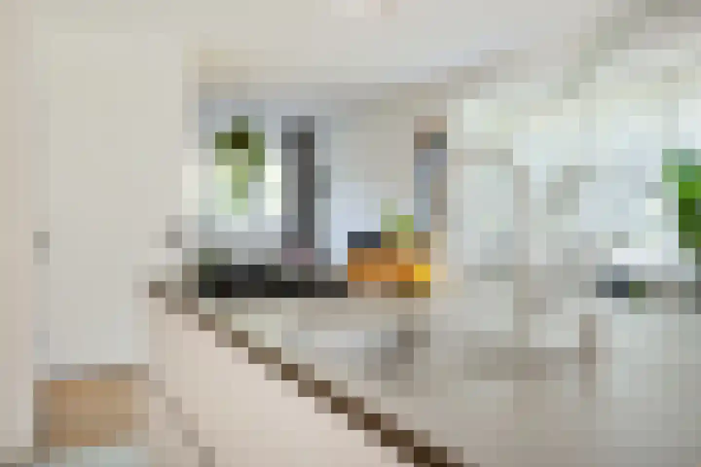 Campinasdreef 2 Utrecht thumbnail 20