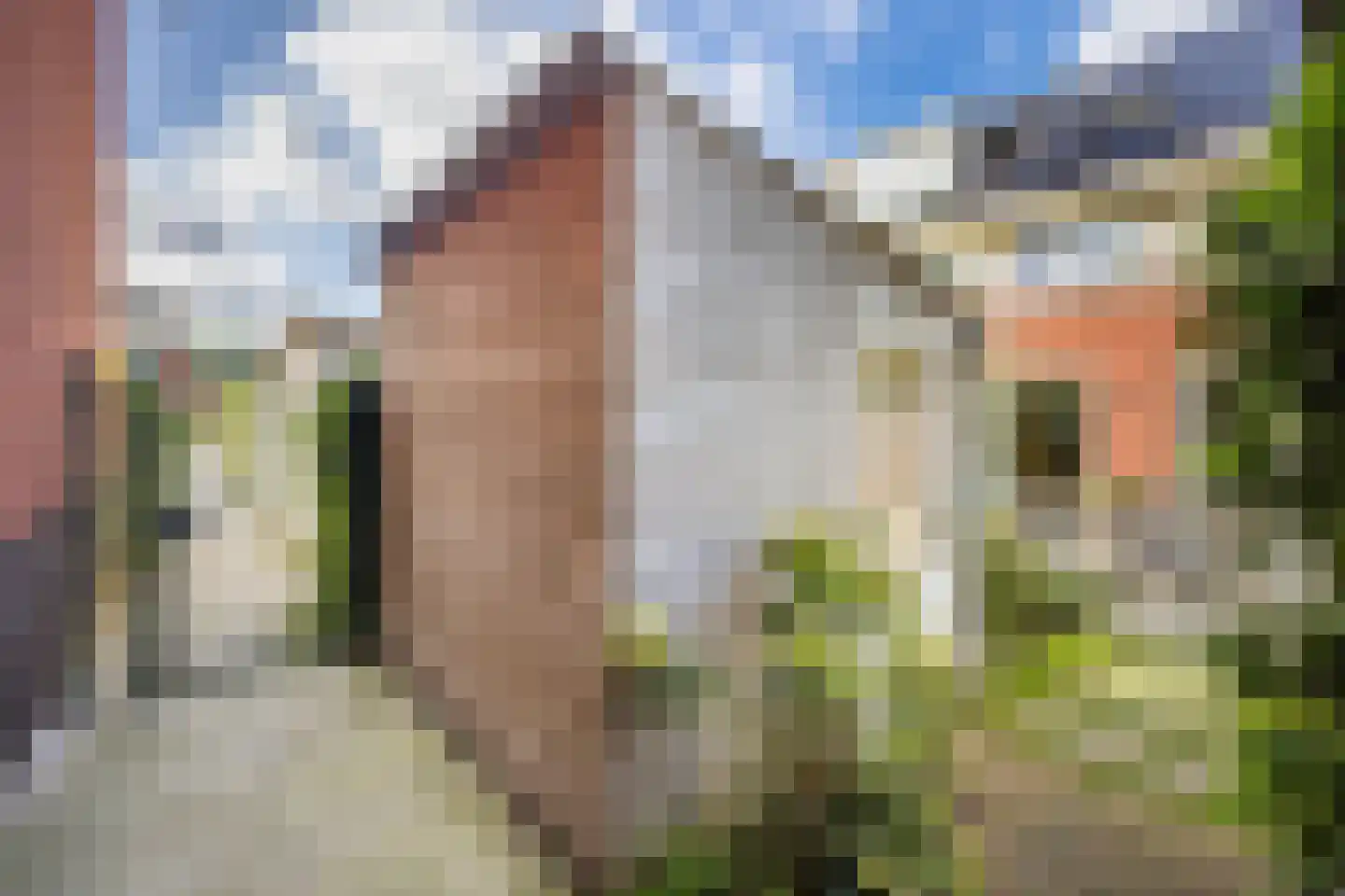 Campinasdreef 2 Utrecht thumbnail 33