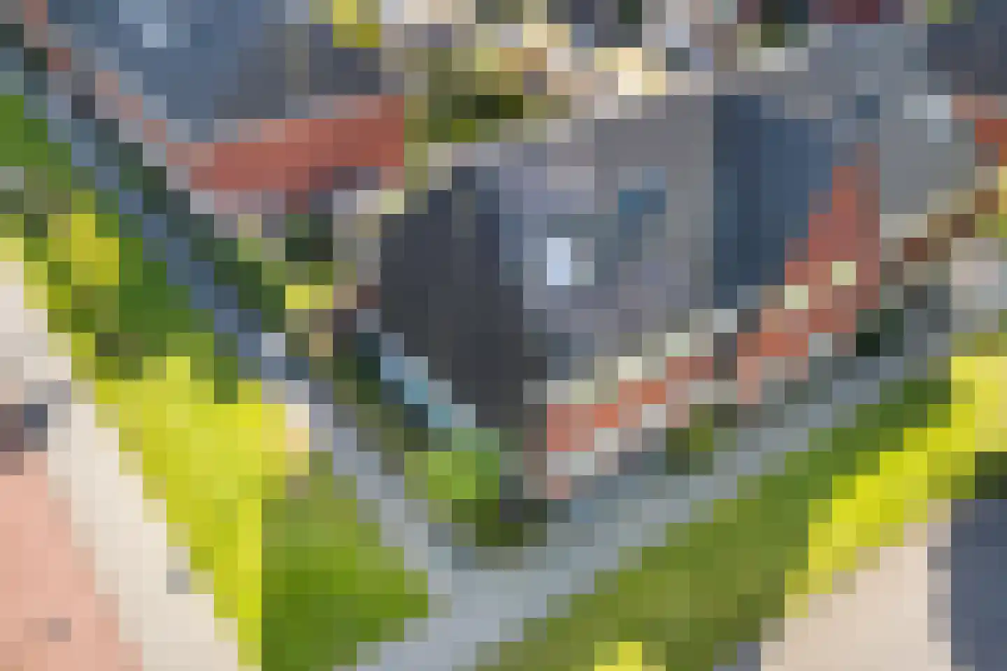 Campinasdreef 2 Utrecht thumbnail 55