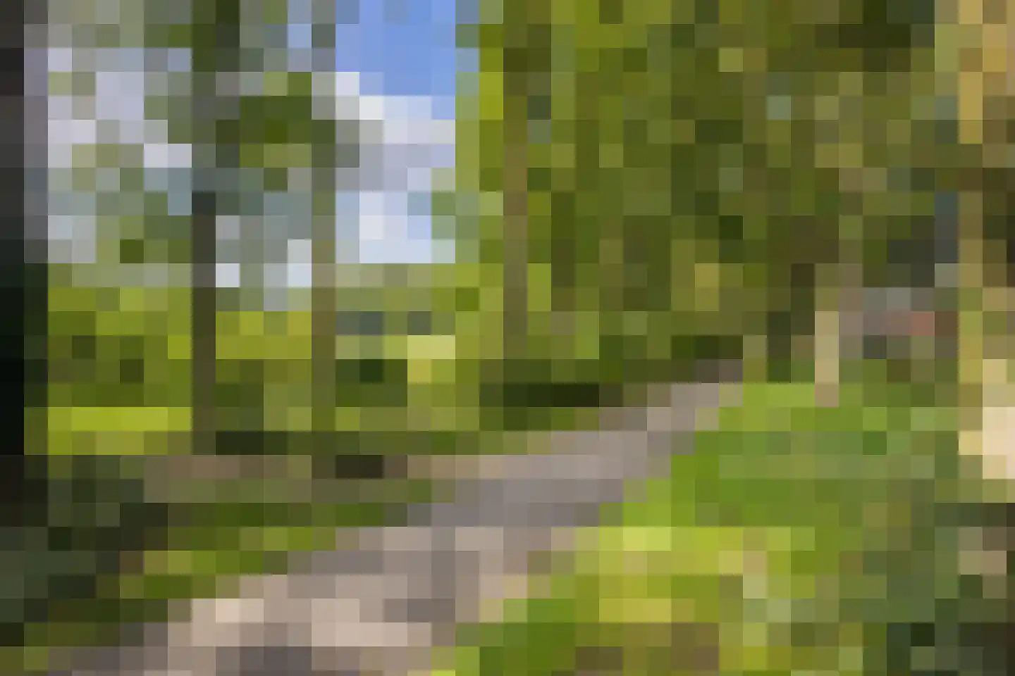 Campinasdreef 2 Utrecht thumbnail 59