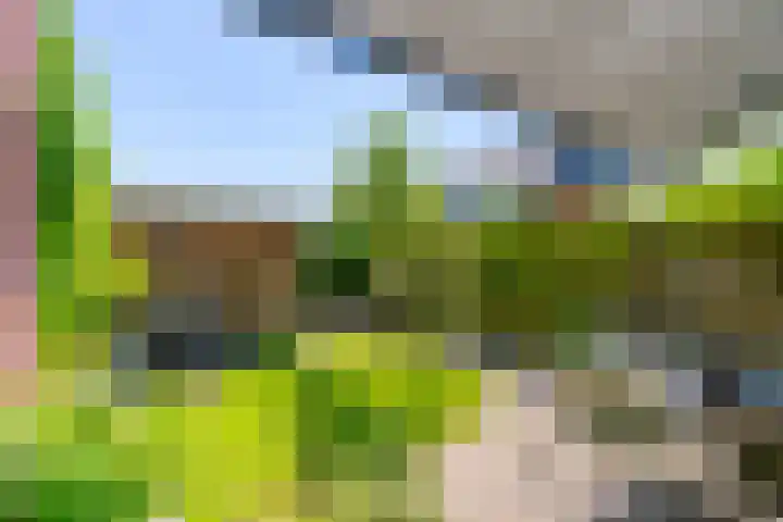 Campinasdreef 22 Utrecht thumbnail 22