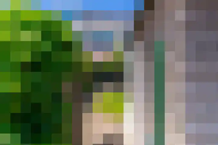 Campinasdreef 22 Utrecht thumbnail 26