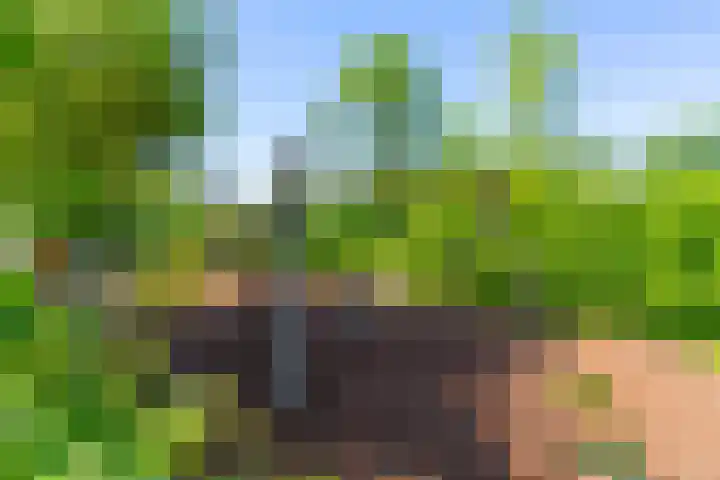 Campinasdreef 22 Utrecht thumbnail 47