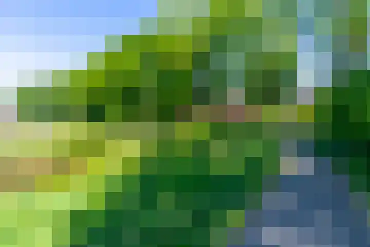 Campinasdreef 22 Utrecht thumbnail 48
