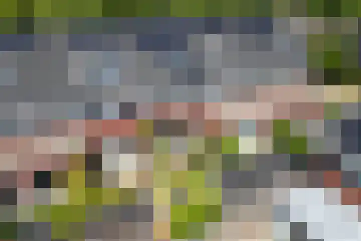 Campinasdreef 22 Utrecht thumbnail 5