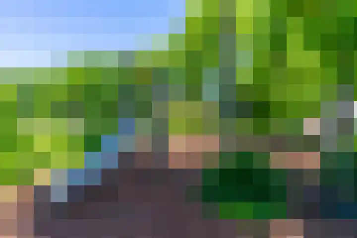 Campinasdreef 22 Utrecht thumbnail 50