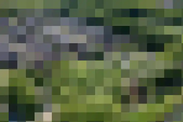 Campinasdreef 22 Utrecht thumbnail 6