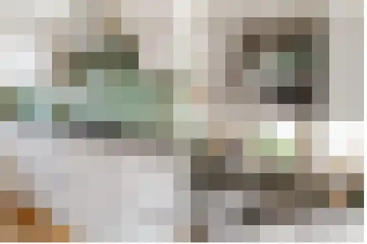 Campinasdreef 30 Utrecht thumbnail 16