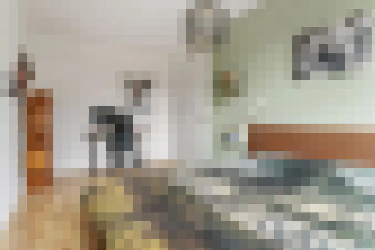 Campinasdreef 30 Utrecht thumbnail 19
