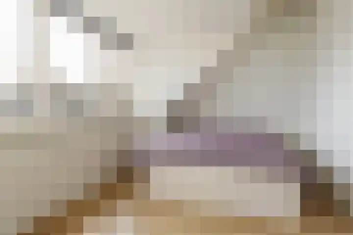 Campinasdreef 30 Utrecht thumbnail 26
