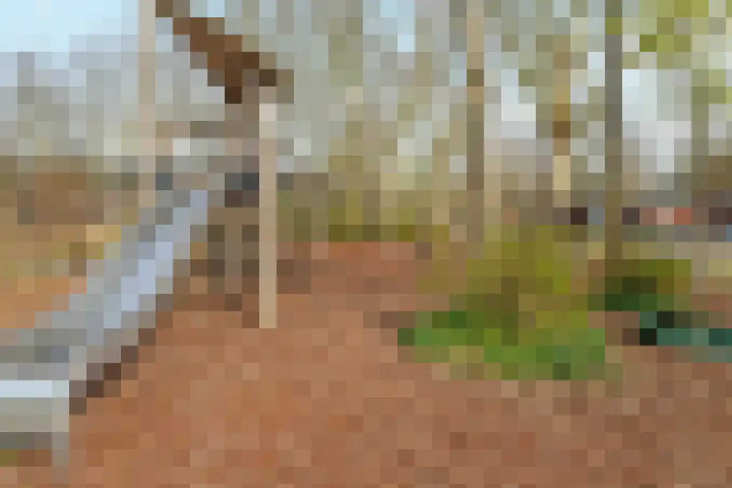 Campinasdreef 30 Utrecht thumbnail 36