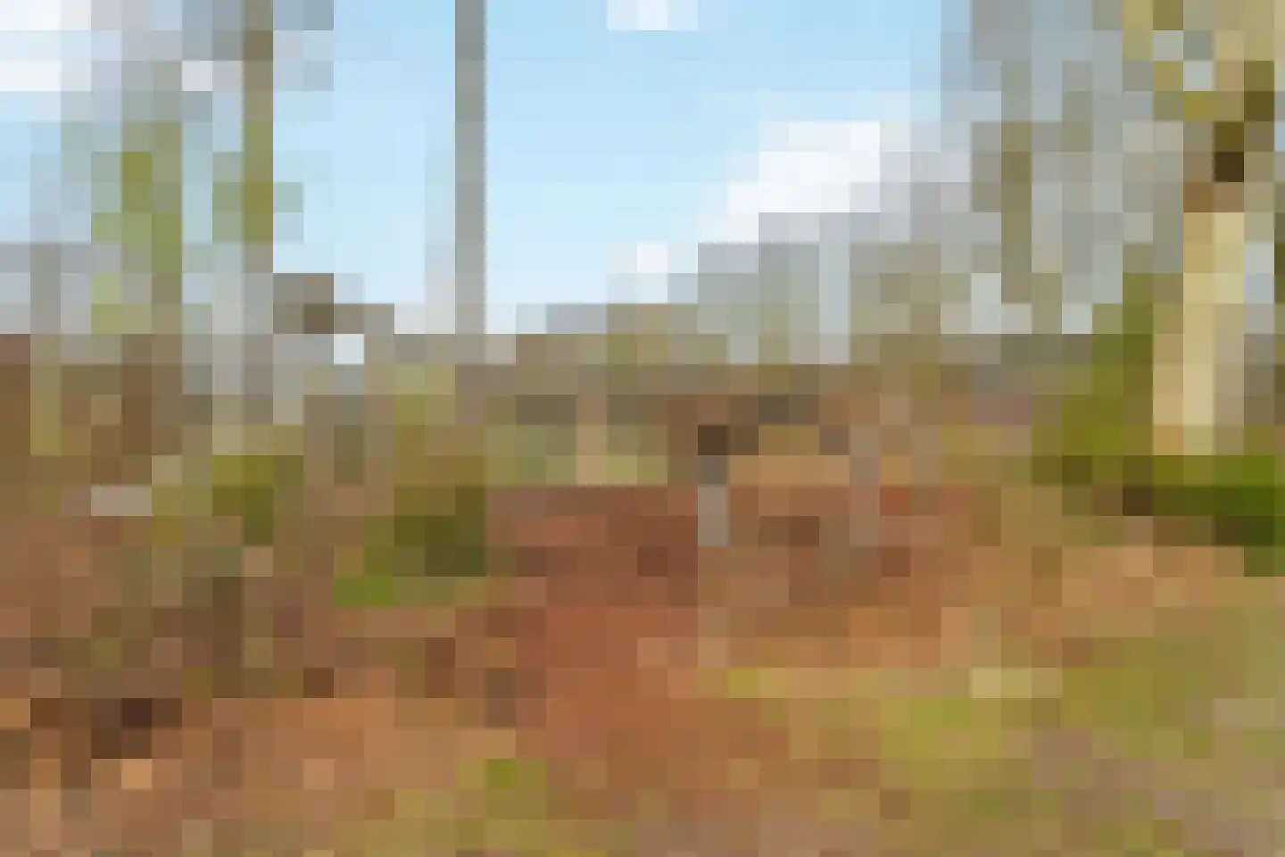 Campinasdreef 30 Utrecht thumbnail 37