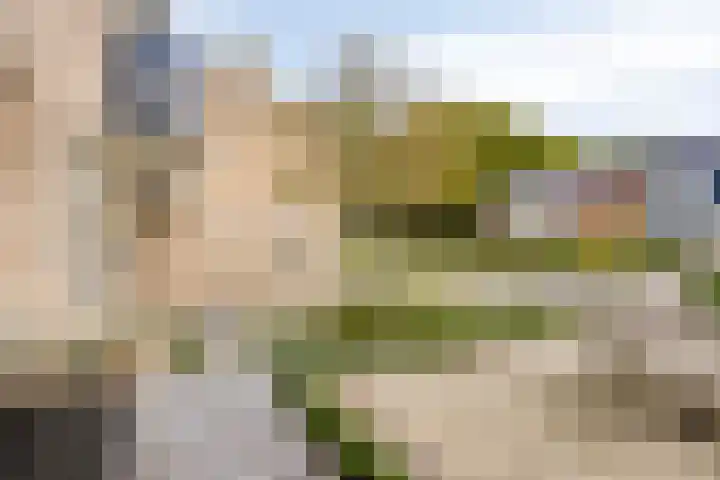 Campinge 12 Zuidlaren thumbnail 10