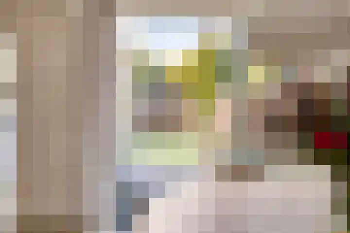 Campinge 12 Zuidlaren thumbnail 20